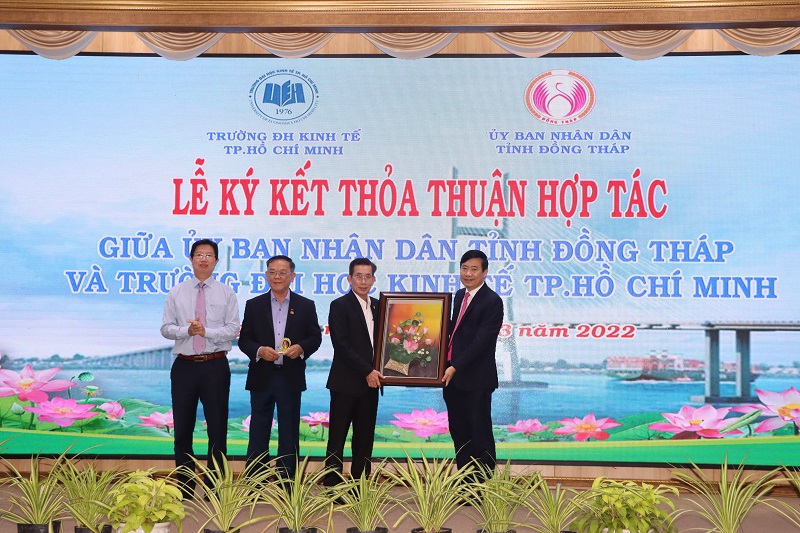 cá cược thể thao hul city